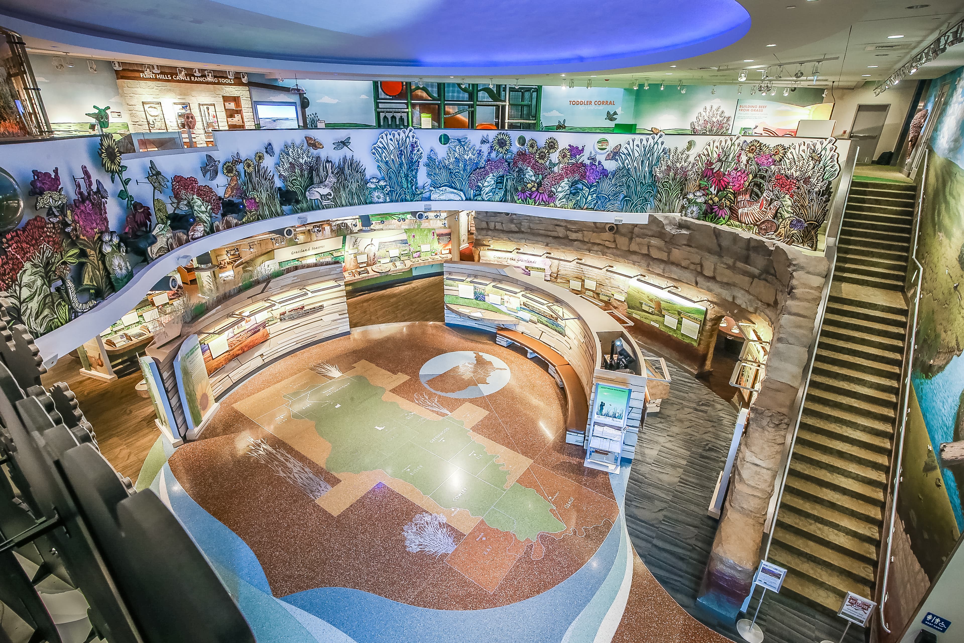 An aerial view of a brightly colored exhibit space featuring coral-themed murals and interactive displays.