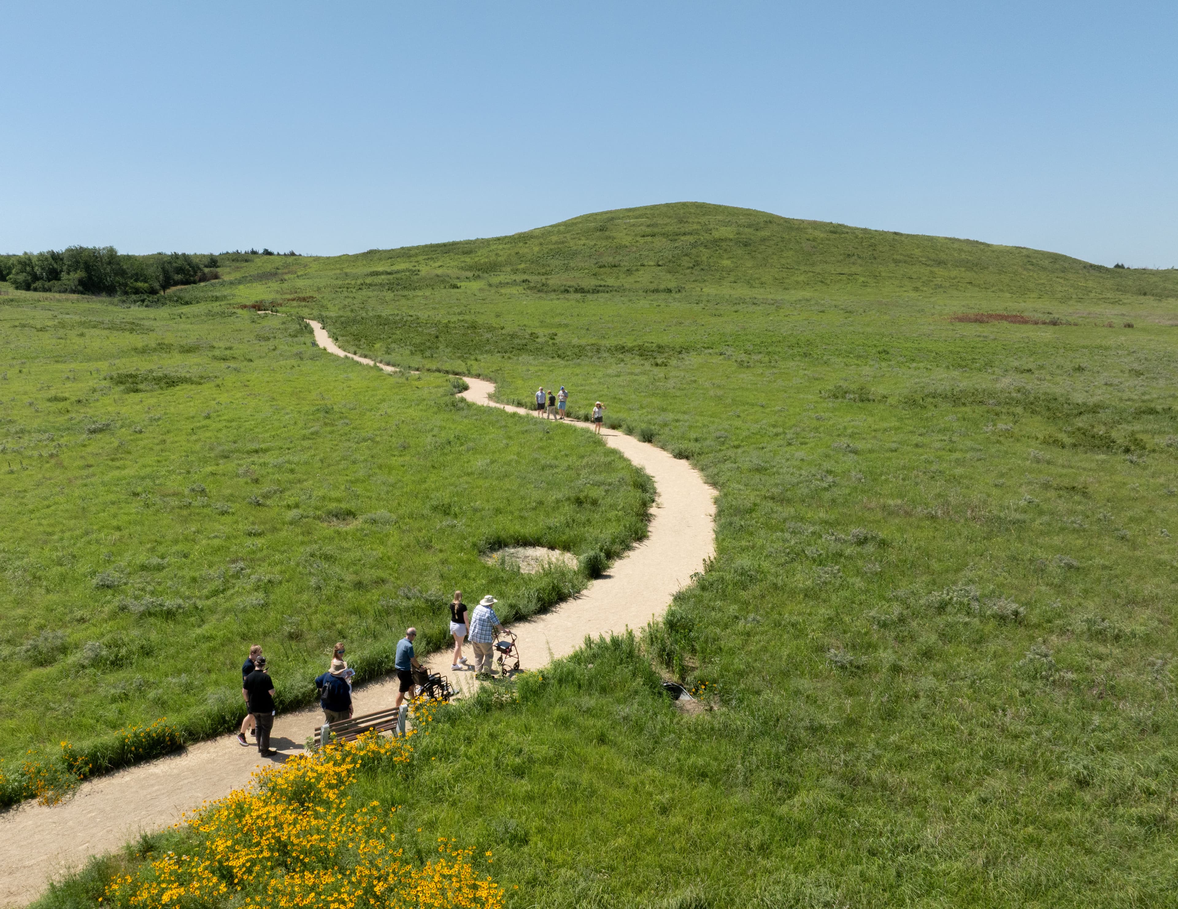 A winding path through a grassy landscape with several people walking and enjoying the scenery.
